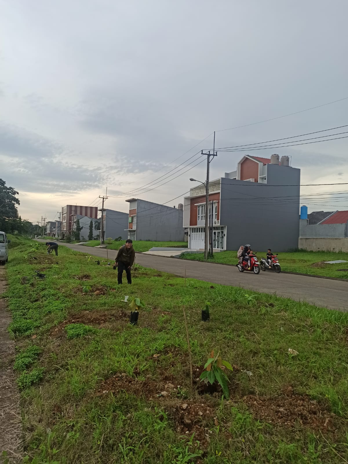 PENANAMAN BIBIT KAKAO SEBAGAI PENGHIJAUAN LINGKUNGAN PERUMAHAN